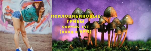 гидропоника Каменка