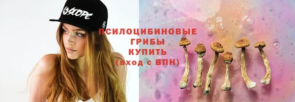 гашик Карталы