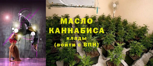 гидропоника Каменка