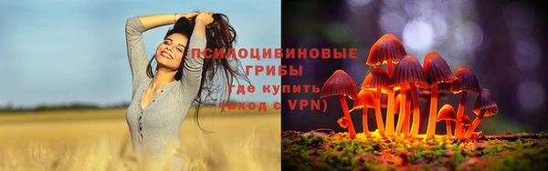гидропоника Каменка