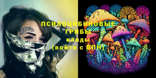 таблы Каменногорск