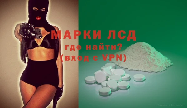 гидропоника Каменка