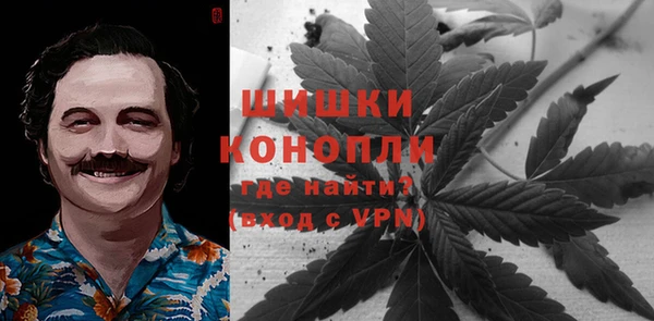 стаф Касимов