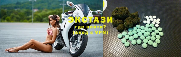 стаф Касимов