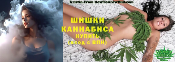 гидропоника Каменка